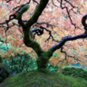 Meet your Posher, Gretchen